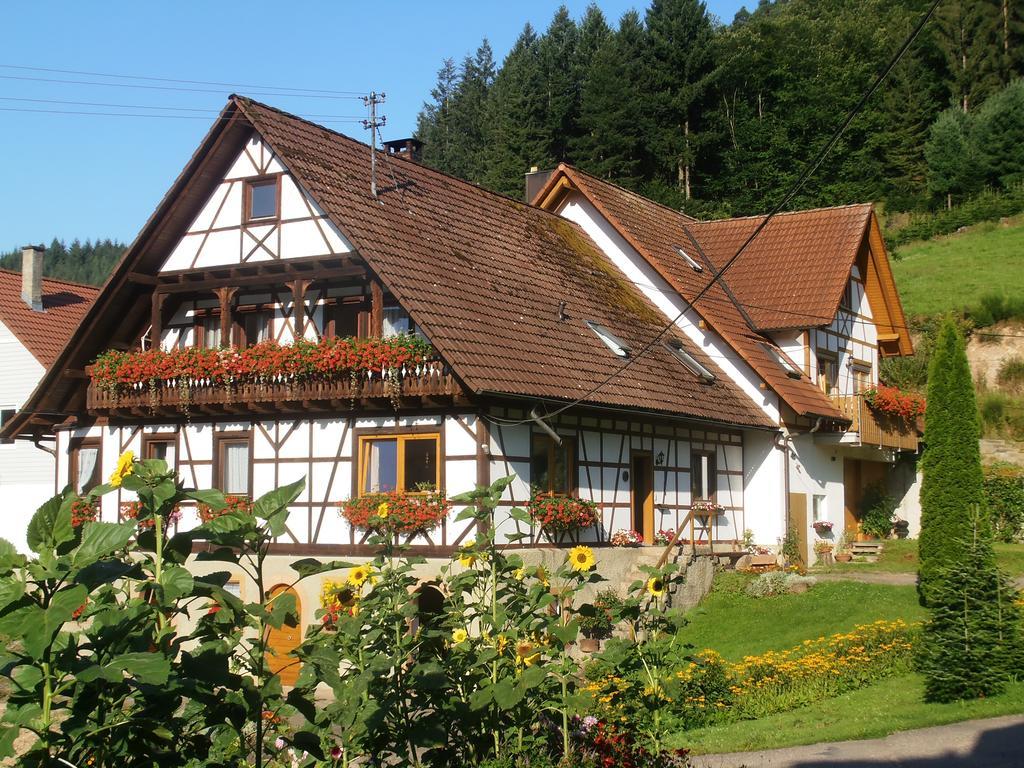 Steinhof Apartment โอเบอร์เคียร์ช ภายนอก รูปภาพ