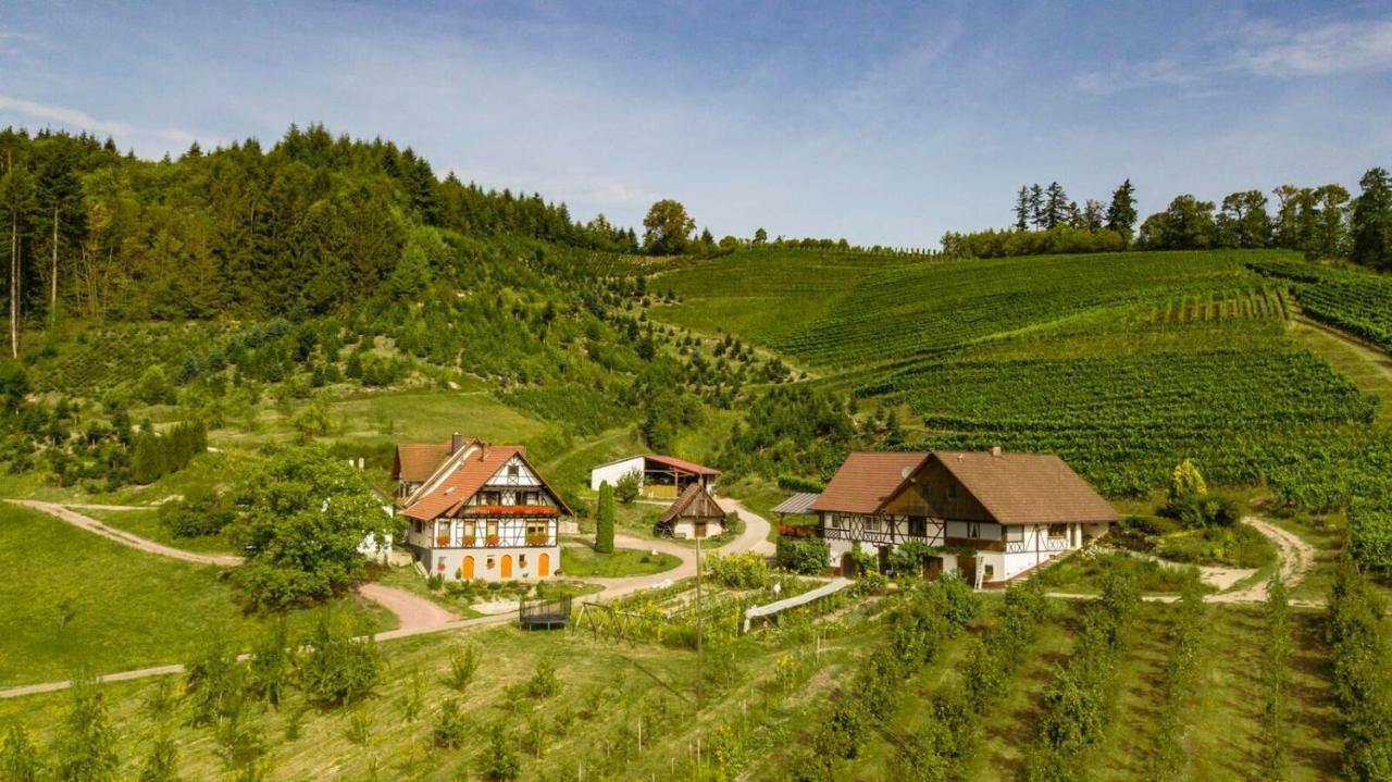 Steinhof Apartment โอเบอร์เคียร์ช ภายนอก รูปภาพ